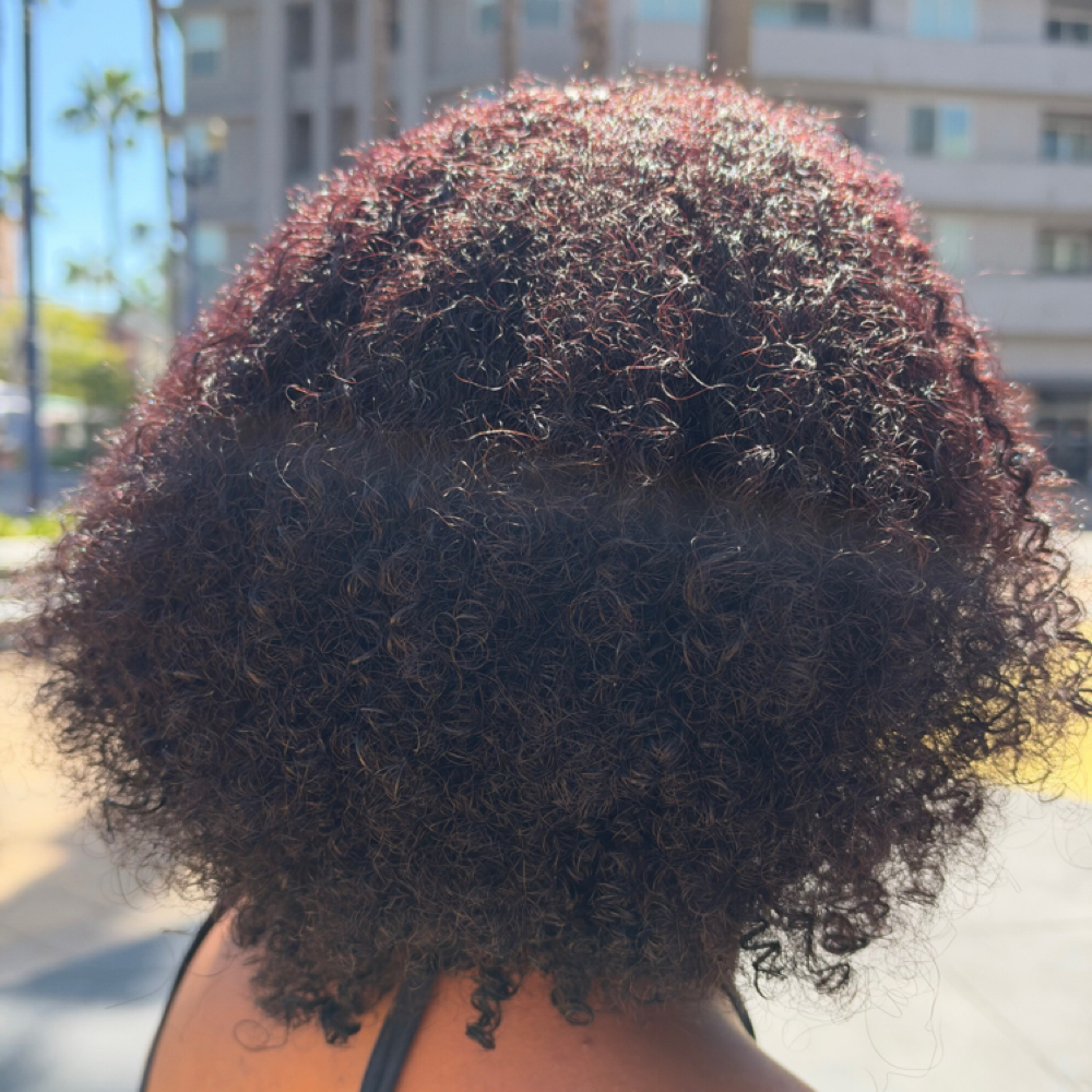 Natural Hair Color+Deep Condition at LANTA SALON @ SALON ROW in Long Beach, CA