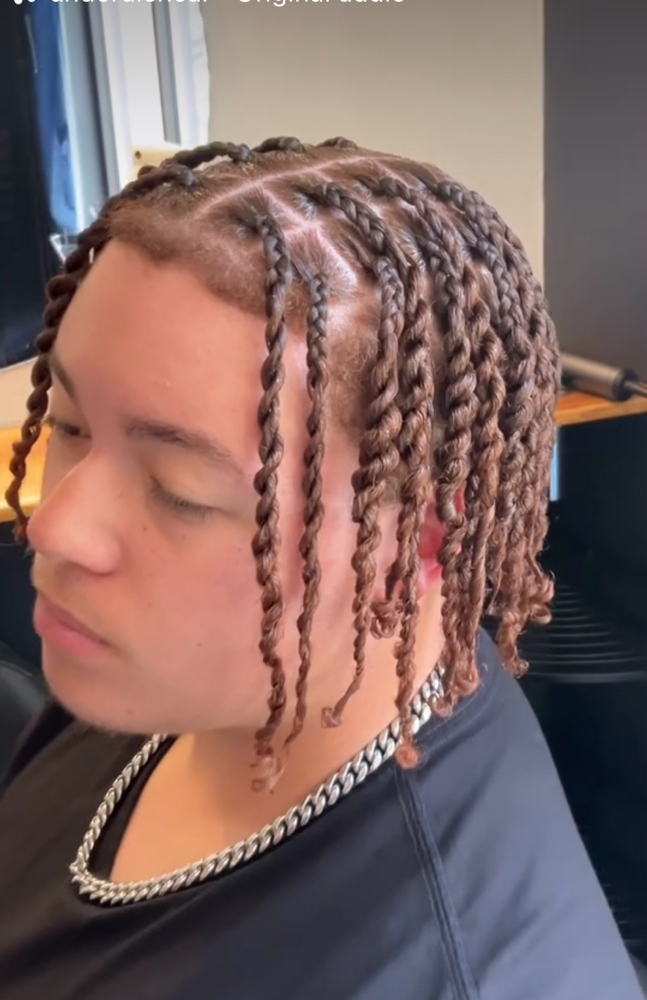 Two Strand Twist W/ Braided Root
