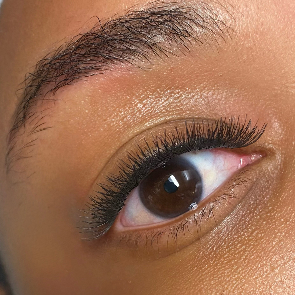 Individual Lash