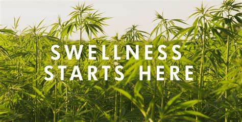 Farmhouse Fresh Hi Bio Hemp Facial