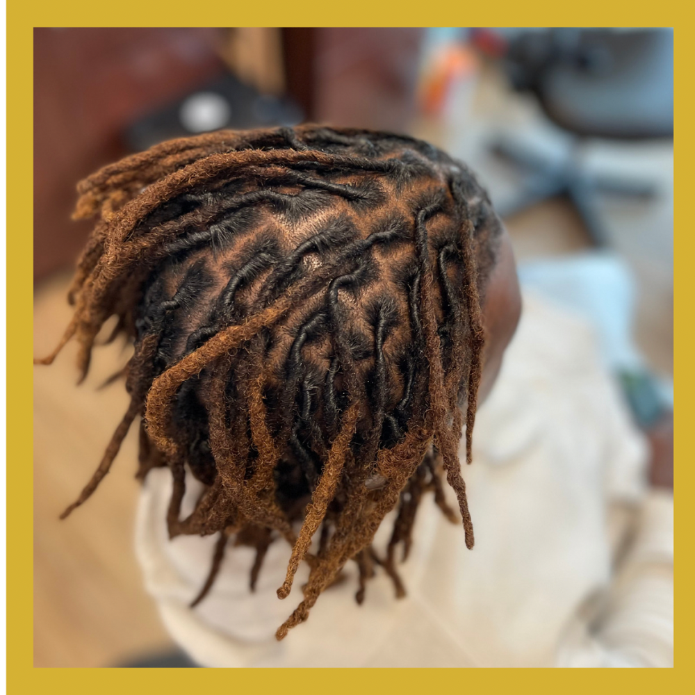 Starter Locs
