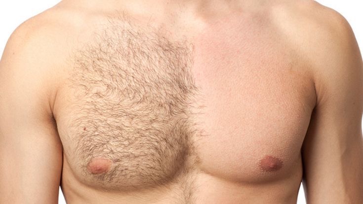 Full Chest Wax
