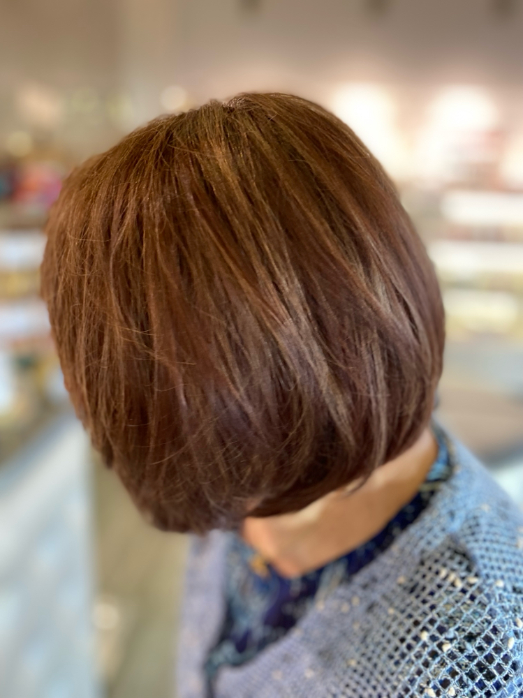 Color Blowdry Style at Hair Artistry By Bethann in Leesburg, FL