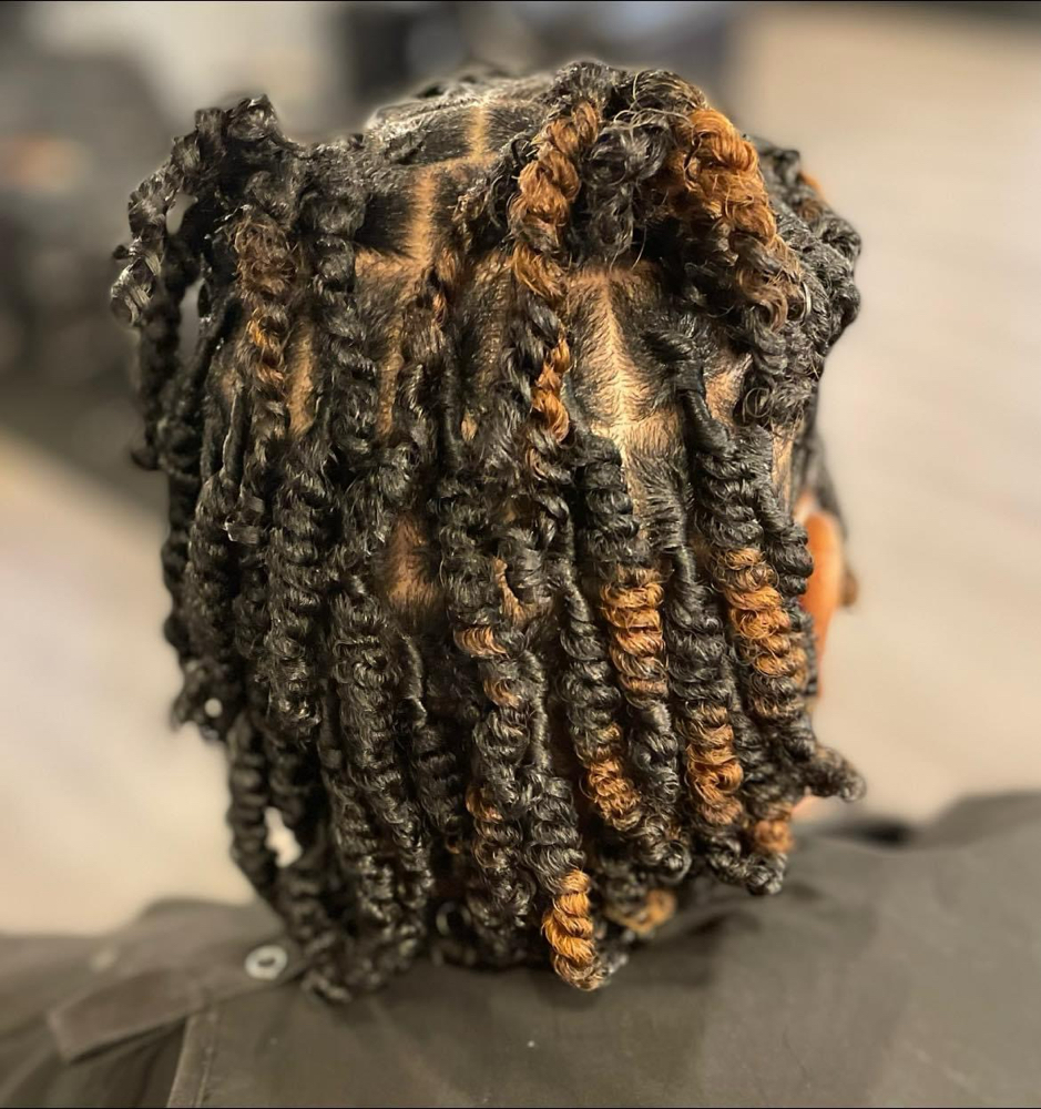 Two Strand Twists