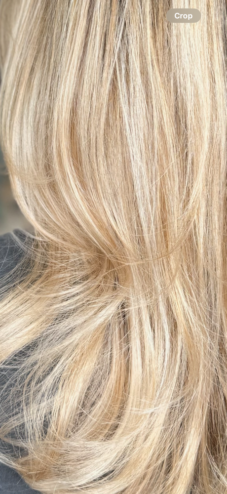 Full Blonding (includes glaze) at Blonde District LLC in Nanuet, NY