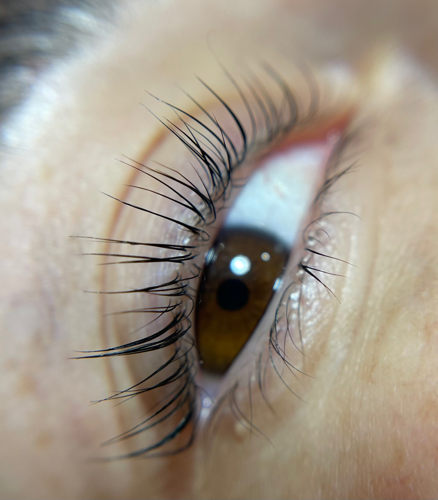 LASH LIFT
