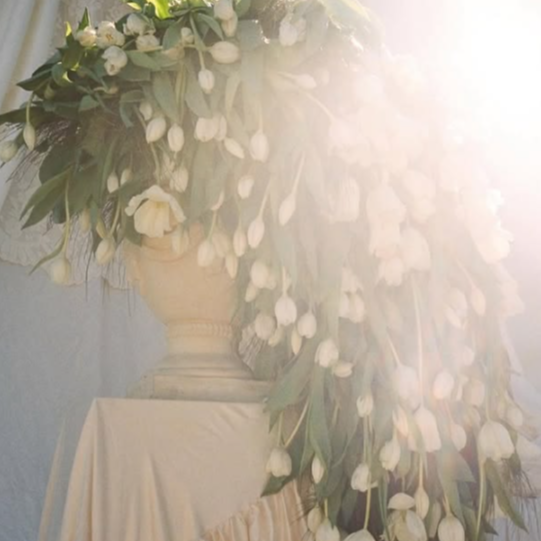 THE VENUS | Bridal Champagne Lounge at Andrea D'Ambrosio, The Dothan Aesthetician, LUNA LAB Spa + Wellness in Dothan, AL