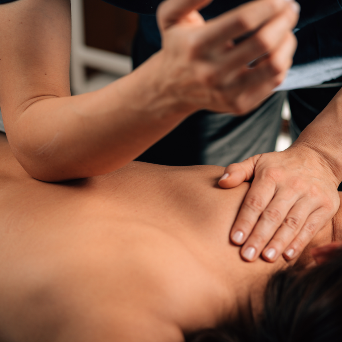 90 Minute Membership Massage at The Rose and Yarrow, LLC in Louisa, VA