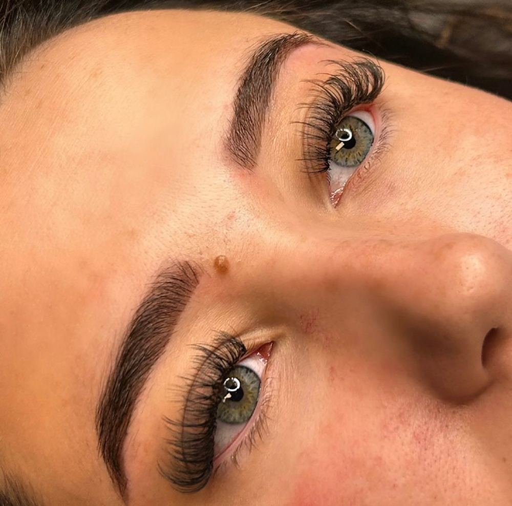 Apprentice Lash Fill