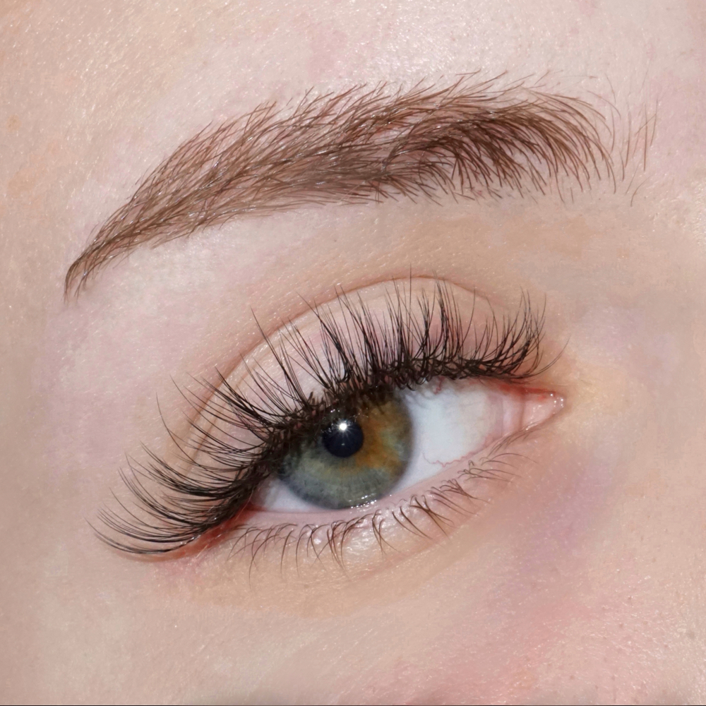 Classic | 2 Week Fill at Lux Lash and Brow in Mansfield, TX