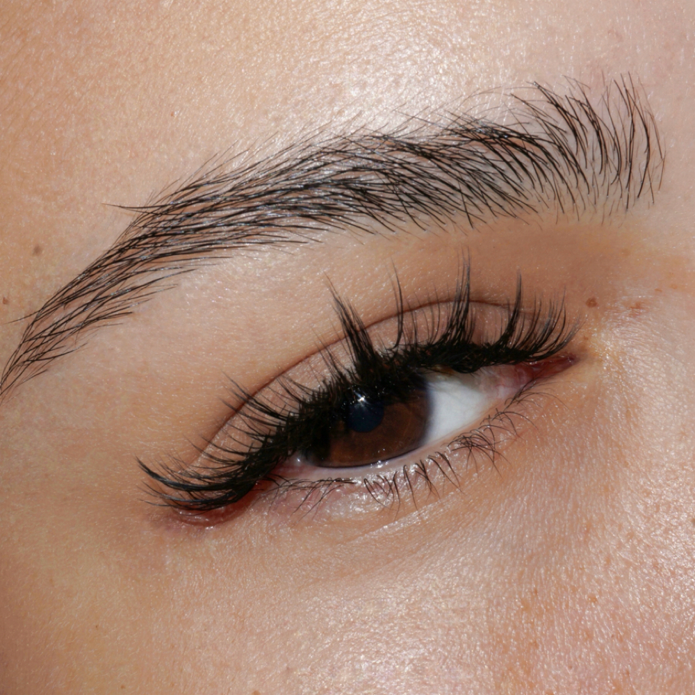 Classic Fill | 2 Weeks