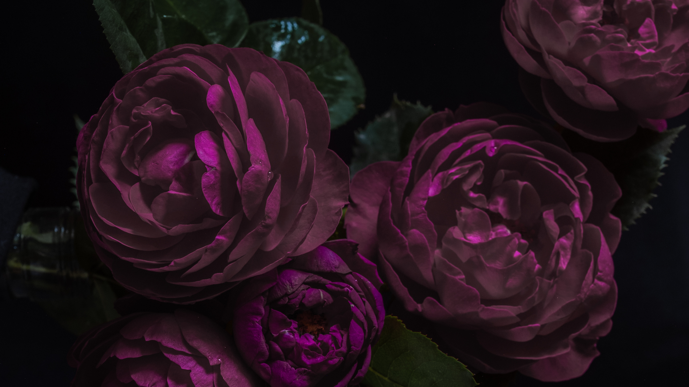 Individual Session (50 Min)