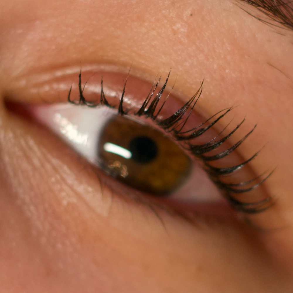 Korean Lash Lift at HER Lash & Beauty Bar in Jacksonville, FL