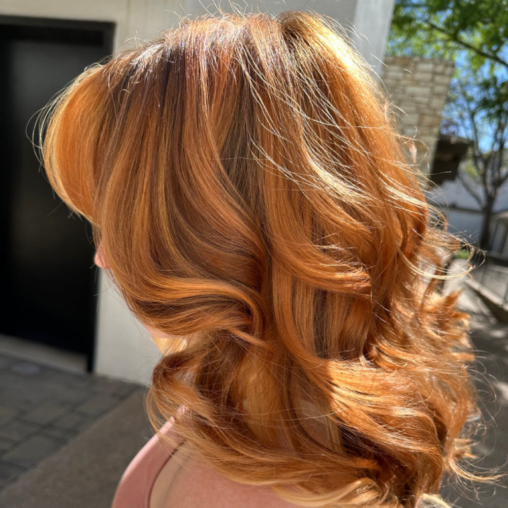 Single Process Color at Rosemary V Hair in Austin, TX
