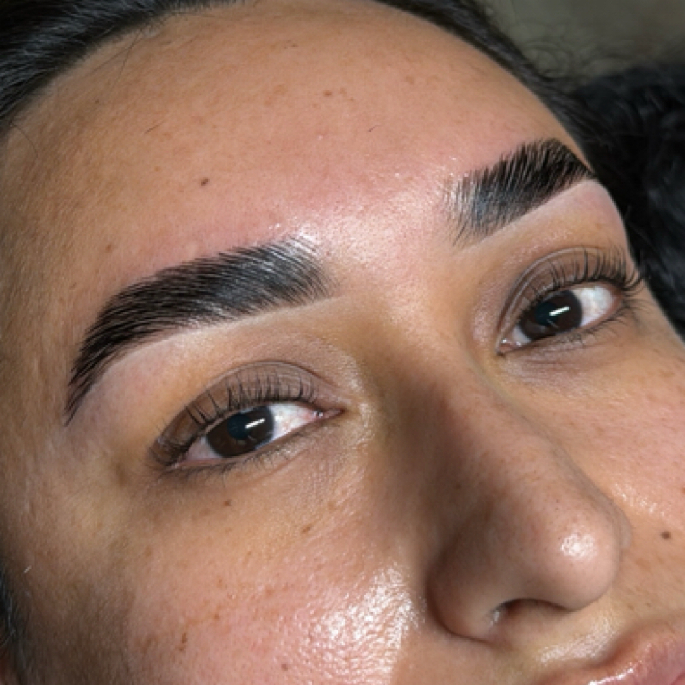 Brow Lamination + Tint at Allure Aesthetics Co. in Santa Ana, CA