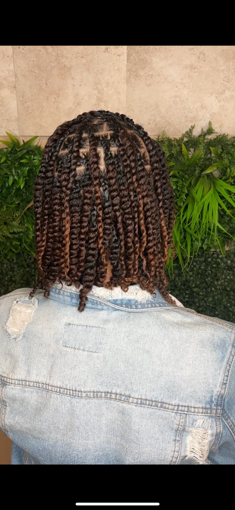 Two Strand Twists