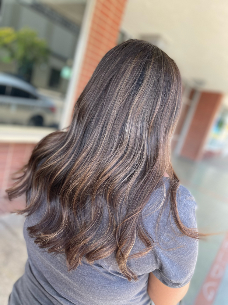 Partial Highlight/Balayage Touch Up