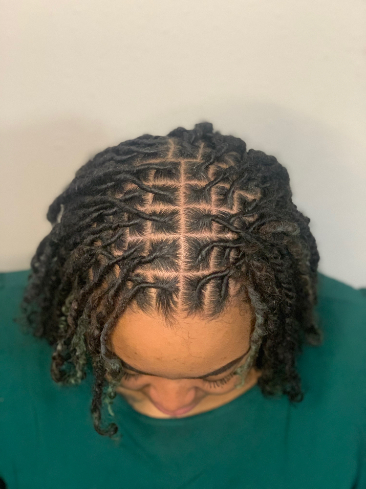 Starter Locs