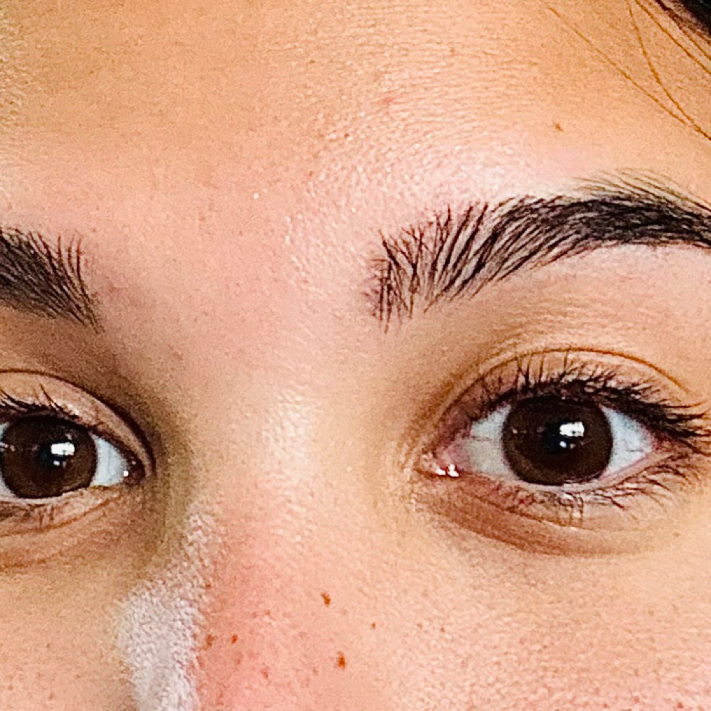 Brow Tint & Wax Combo at The Embree Rose in Claremore, OK