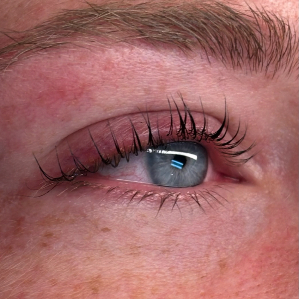 Korean Lash Lift & Tint at Waxed By Willow in Cookeville, TN