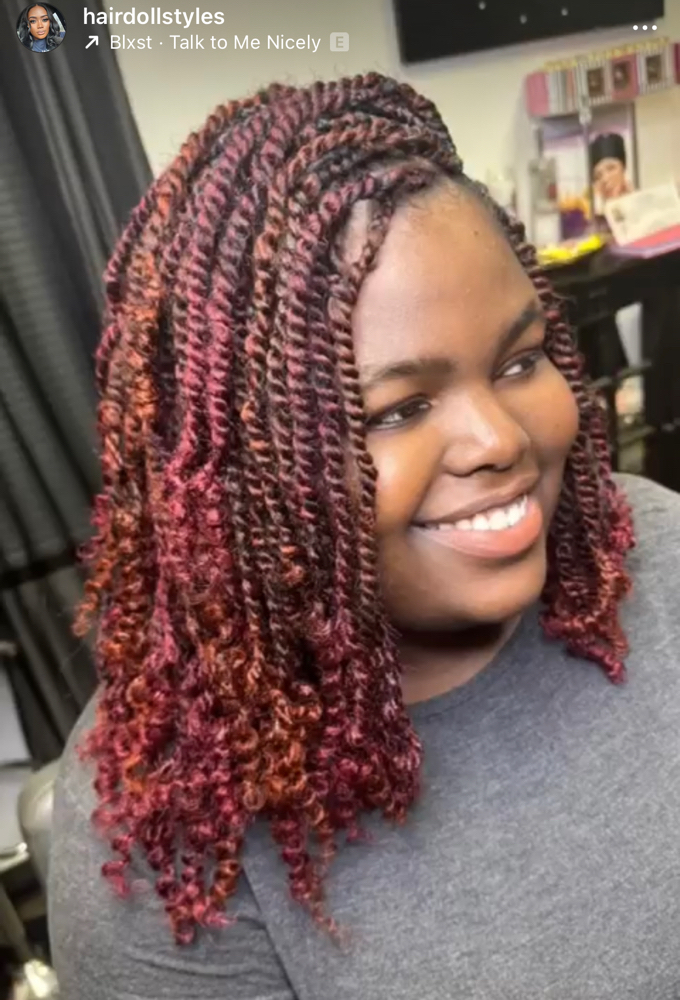 Two Strand Twist W Hair Added