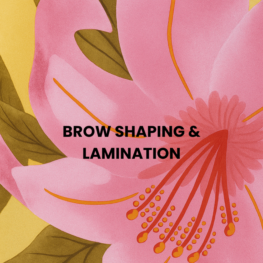 Brow Shaping & Lamination at Archemy Brows & Beauty in Anchorage, AK