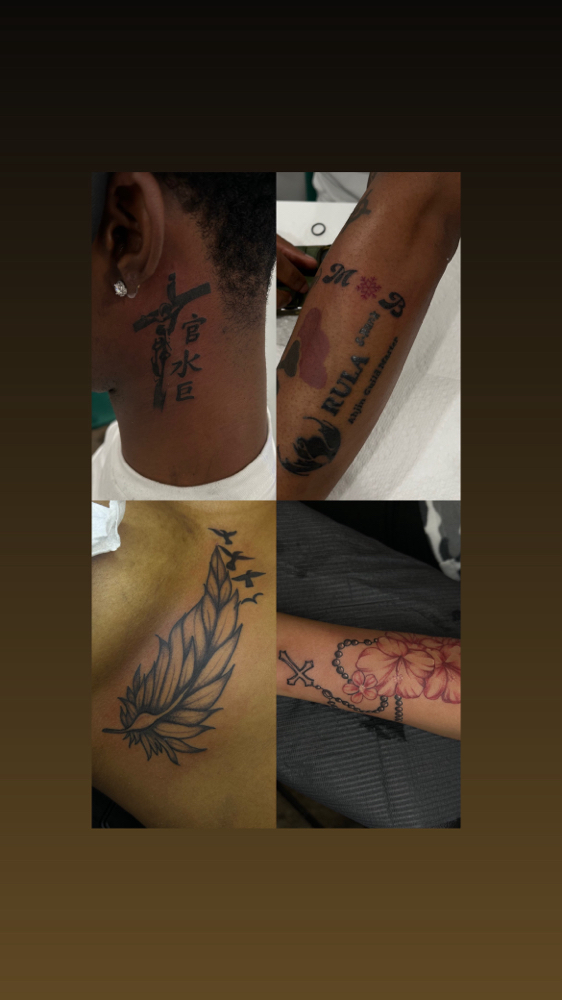 Palm Size / Medium