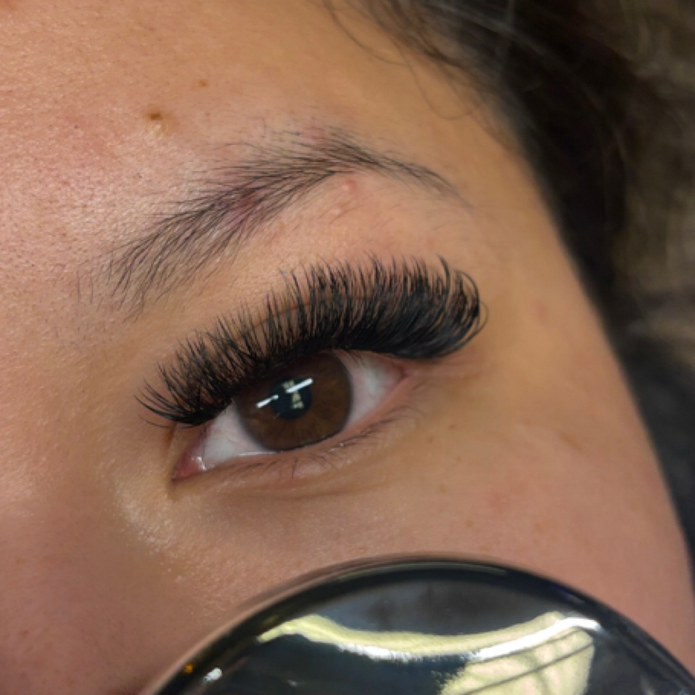 Volume Fill Lash Set at Black Cactus Body Bar & Boutique in Mount Juliet, TN