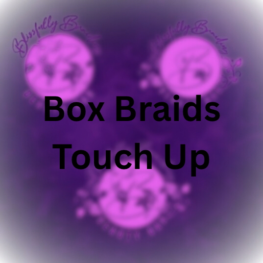 Box Braids Touch Up at Blissfully Braiding Beauty Bar in Overland Park, KS
