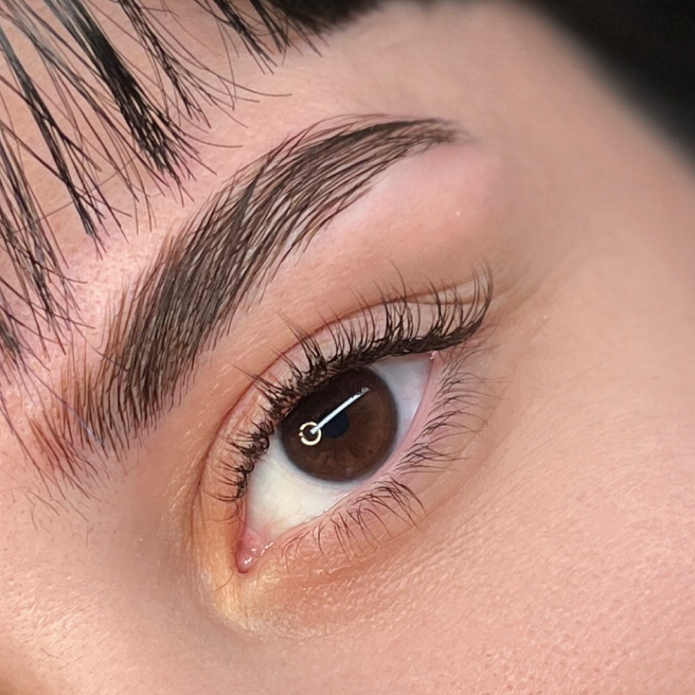 Light Set at Lash Altar in St. Petersburg, FL