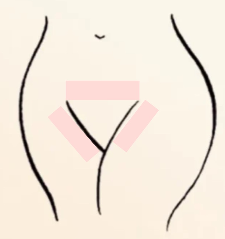 Bikini Line