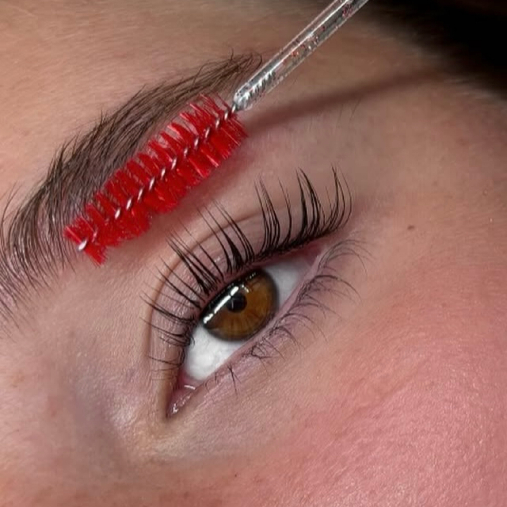 Lash Lifting + Tint at Dayana Lattarulo Beauty Studio LLC in Naples, FL