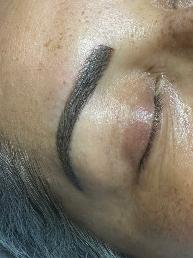 Powder Brows (shading Only)
