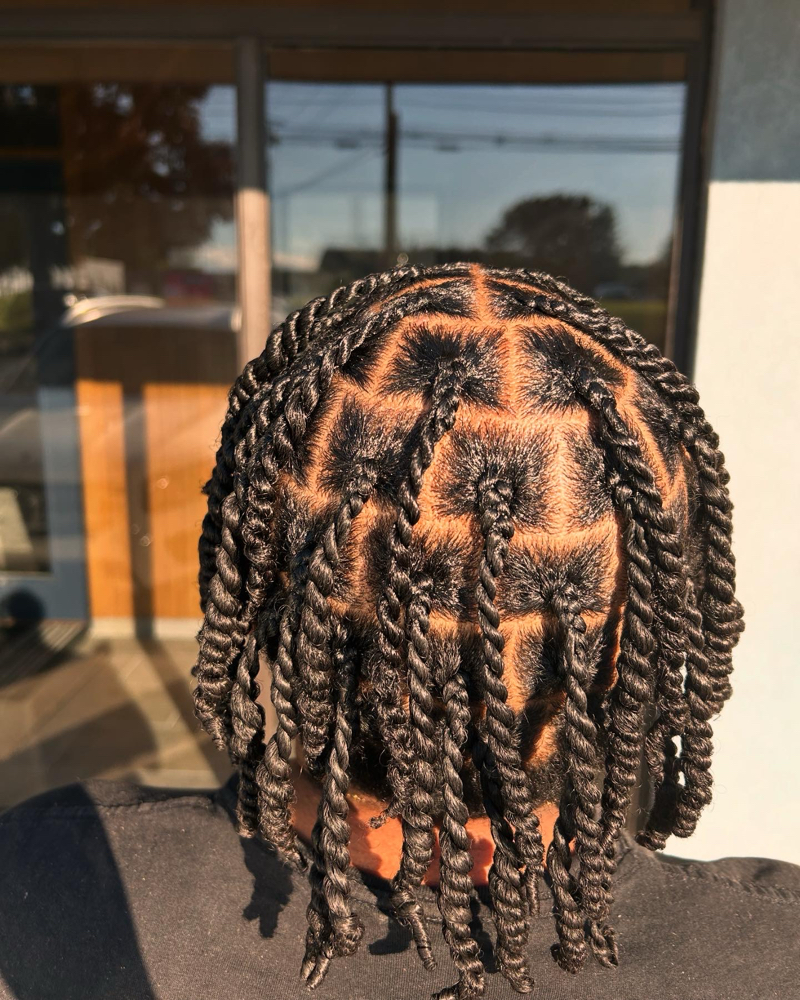 Natural Hair Braids/Twist