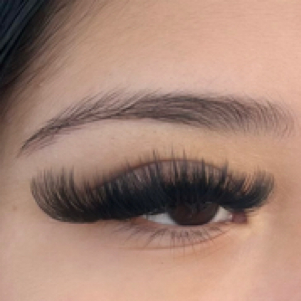 Mega Volume at Lashed Babe in Albertville, AL