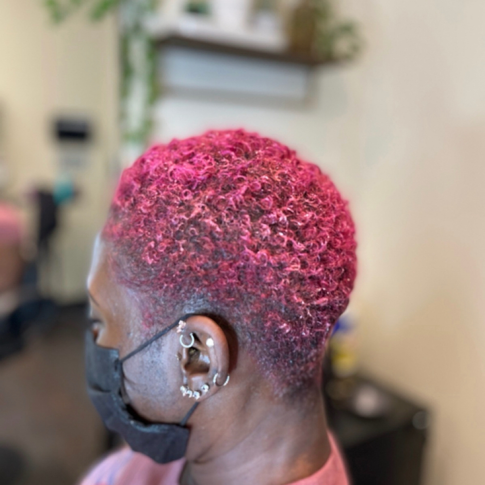 Fantasy Toner at THB Studios LLC in Vienna, VA