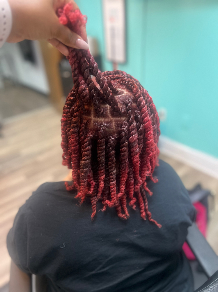 Two Strand Twist