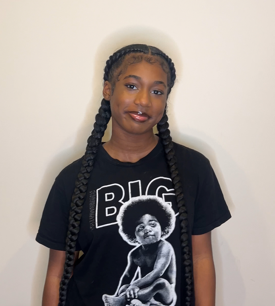2 Stitch Braids at Braider Queen in Laurel, MD
