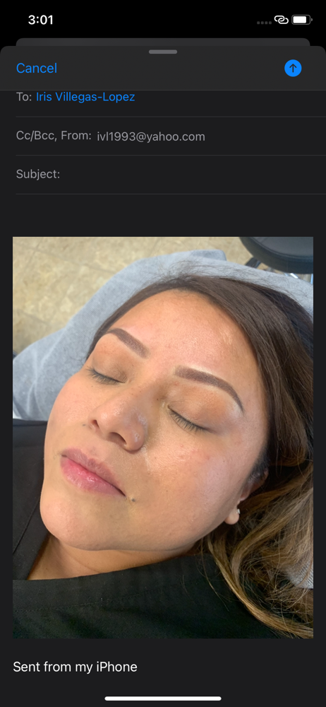 Ombre Brow 4-6 Week Touch Up