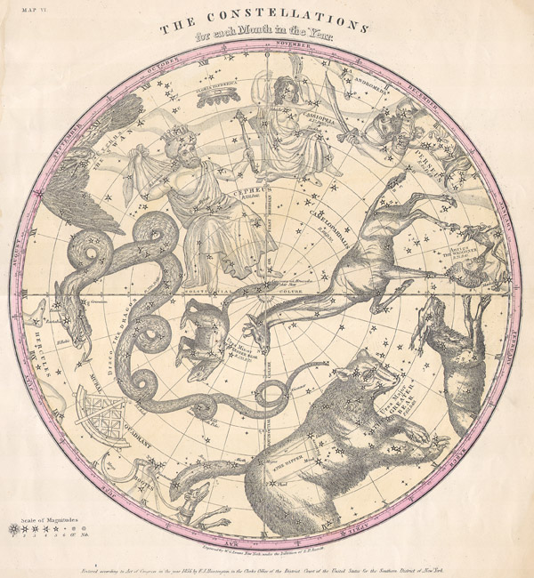Beauty Constellation & Tarot