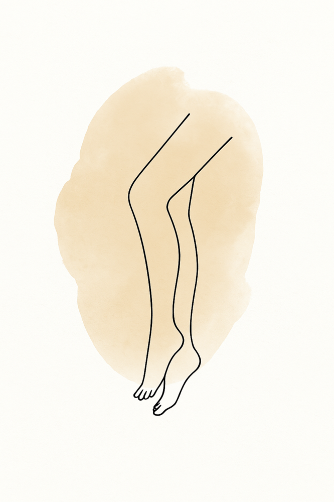 Full Leg Wax at WaxHaus in Trinity, FL