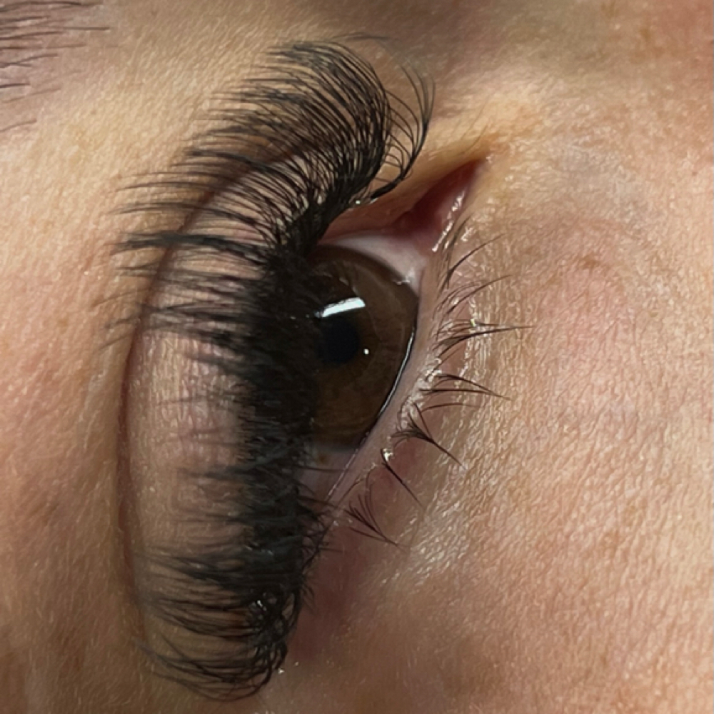 Volume Lash Fill In at Lashesbysaletha in Ider, AL