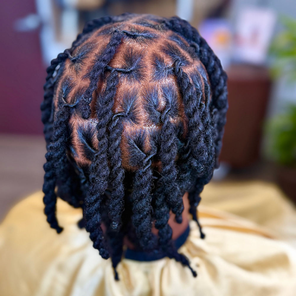 Rope Twist (2 strand/multistrand) at Na'Truely Crown'd in Farmington, MI