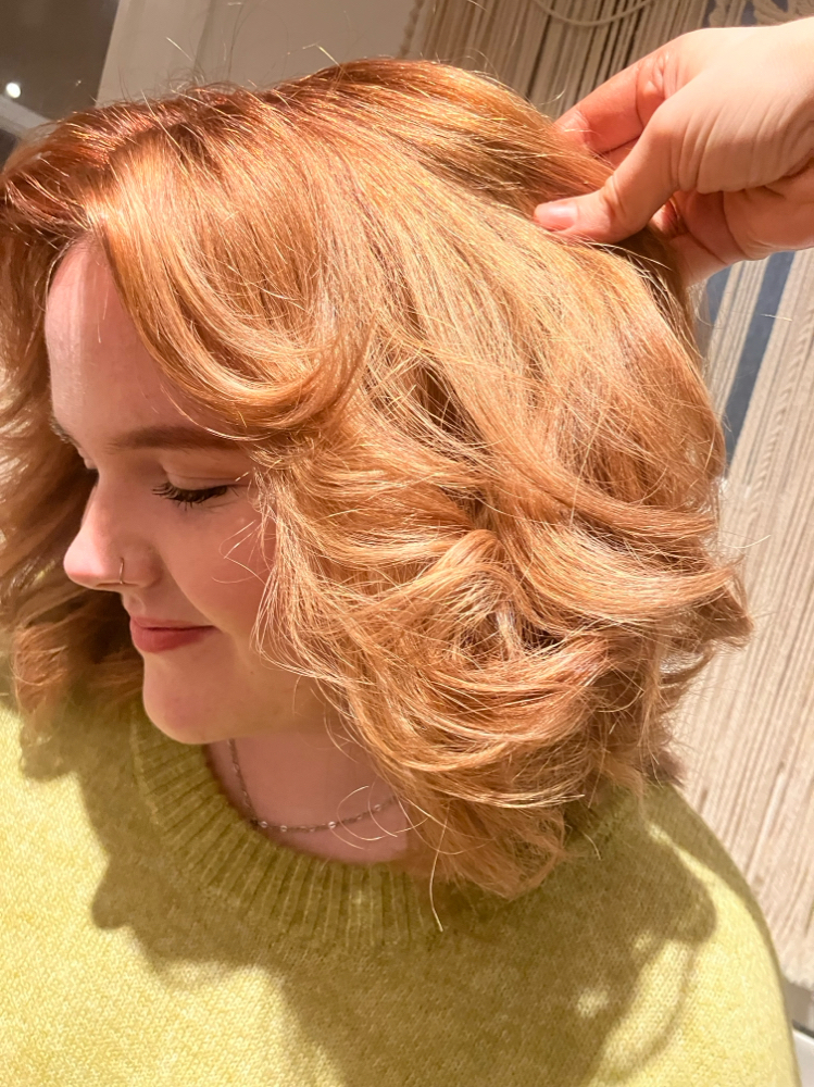 Root Touch up Package