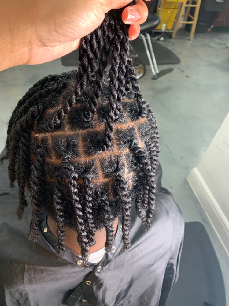 Two Strand Twists