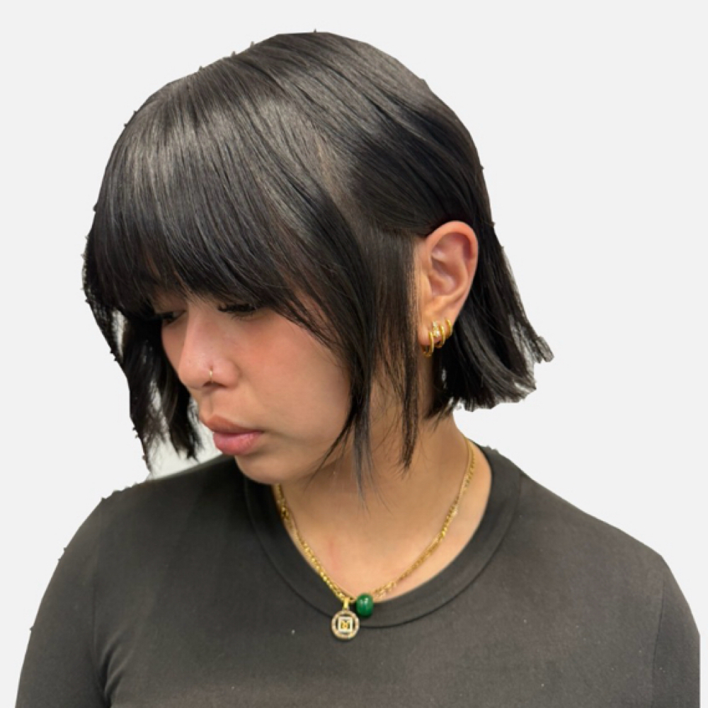 Dry Haircut (Existing Clients)