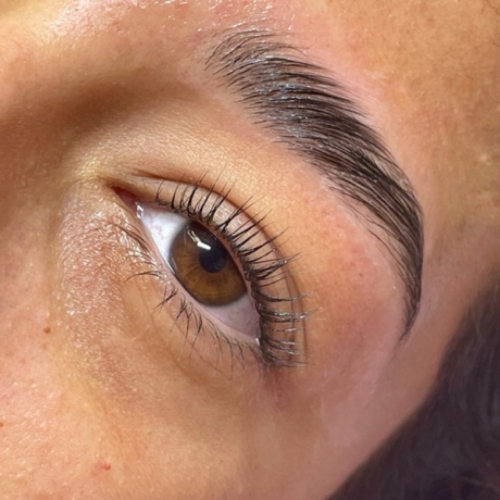 THE Bundle Lash & Brow at Gabrielle Paige  |  Hair Co. in Chambersburg, PA
