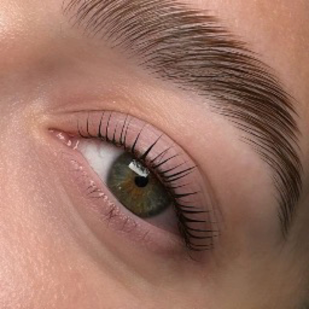 Brow Tint & Lamination at Luxe Spa By Kaci in Heflin, AL