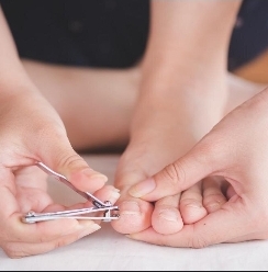 Toe Nails Trim Only