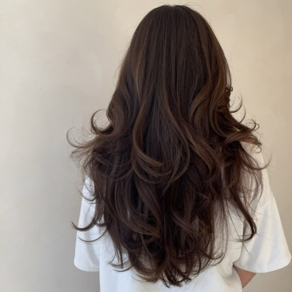 Signature Haircut (Extended) at The Hair Conservatory in Raleigh, NC